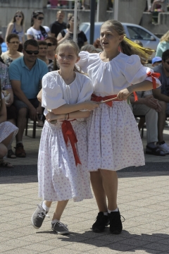 Jarmok 2014
