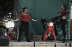 Jarmok 2014 II