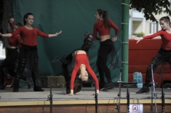 Jarmok 2014 II