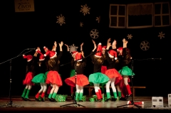 Koncert Nadácia Život 2014