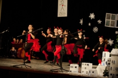 Koncert Nadácia Život 2014