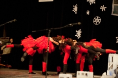 Koncert Nadácia Život 2014