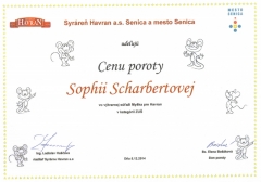 Úspechy školy v školskom roku 2014/2015 – fotografia 48