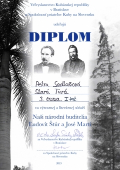 Úspechy školy v školskom roku 2014/2015 – fotografia 10