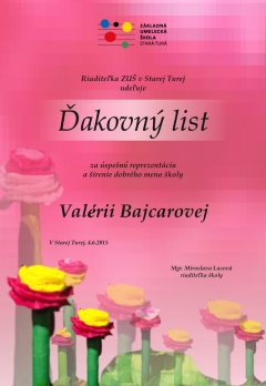 Úspechy školy v školskom roku 2014/2015 – fotografia 29