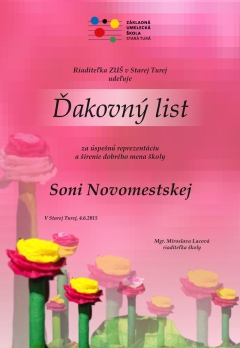 Úspechy školy v školskom roku 2014/2015 – fotografia 4