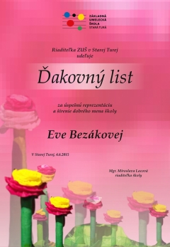 Úspechy školy v školskom roku 2014/2015 – fotografia 25