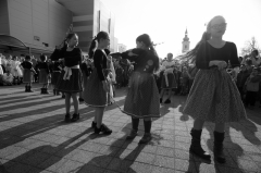 Tanečný odbor – fotografia 66