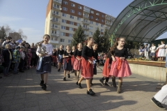 Tanečný odbor – fotografia 55