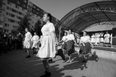 Tanečný odbor – fotografia 59