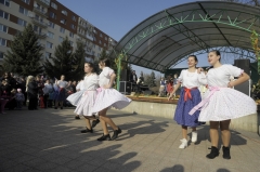 Tanečný odbor – fotografia 89