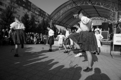 Tanečný odbor – fotografia 91