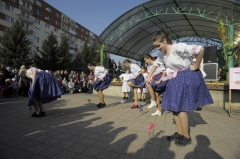 Tanečný odbor – fotografia 92