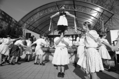Tanečný odbor – fotografia 78