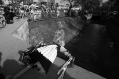 Tanečný odbor – fotografia 47
