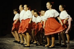 Tanečný odbor – fotografia 46