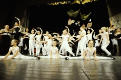 Tanečný odbor – fotografia 36