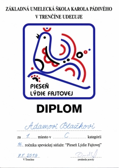 Úspechy školy v školskom roku 2018/2019 – fotografia 19