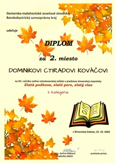 Úspechy školy v školskom roku 2020/2021 – fotografia 2
